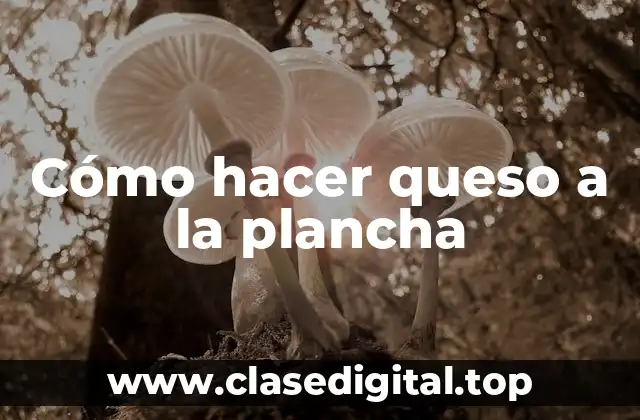 Cómo hacer queso a la plancha
