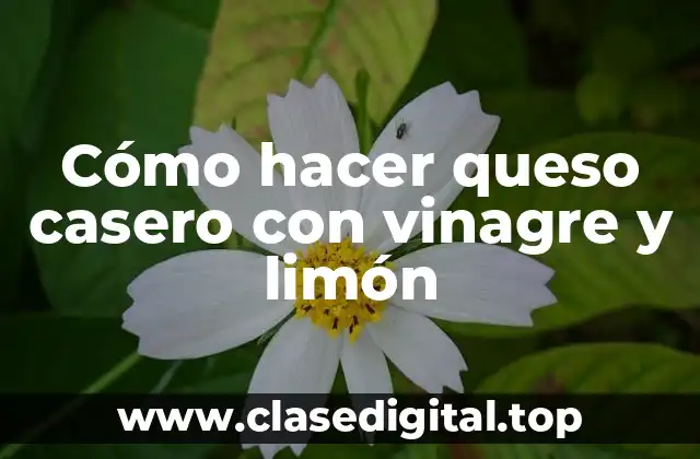 Cómo hacer queso casero con vinagre y limón