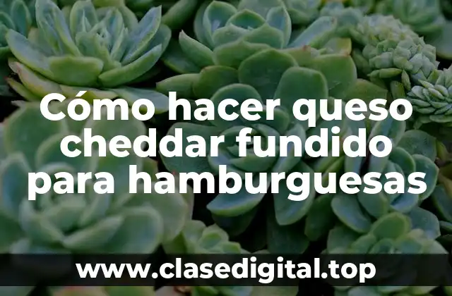 Cómo hacer queso cheddar fundido para hamburguesas