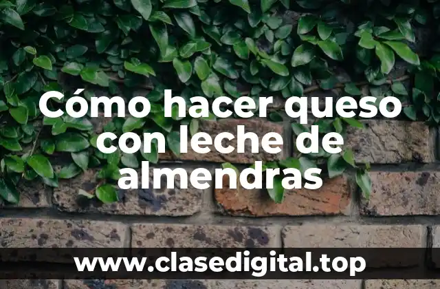 Cómo hacer queso con leche de almendras