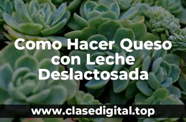 Como Hacer Queso con Leche Deslactosada