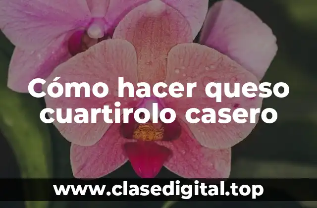 Cómo hacer queso cuartirolo casero
