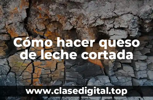 Cómo hacer queso de leche cortada