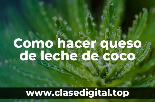 Como hacer queso de leche de coco