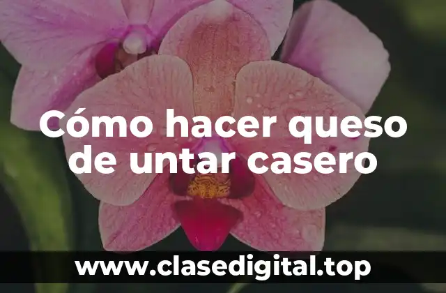 Queso de untar casero