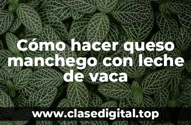 Cómo hacer queso manchego con leche de vaca