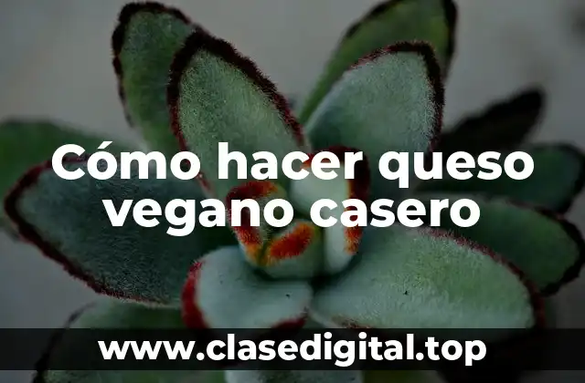 Cómo hacer queso vegano casero