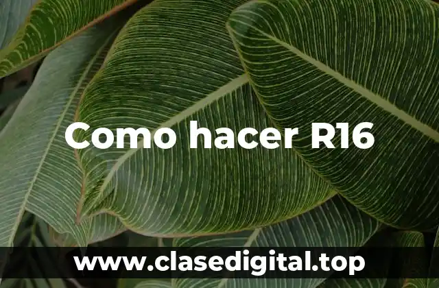 Como hacer R16