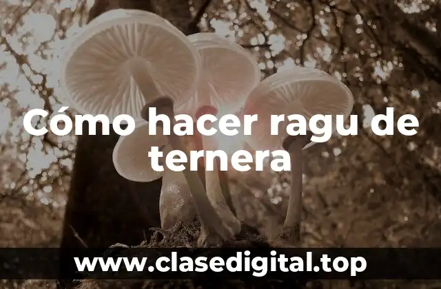 ¿Qué es el ragu de ternera y para qué sirve?