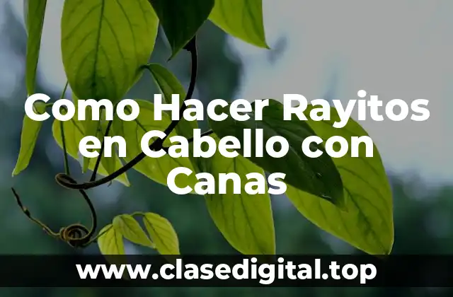 Como Hacer Rayitos en Cabello con Canas