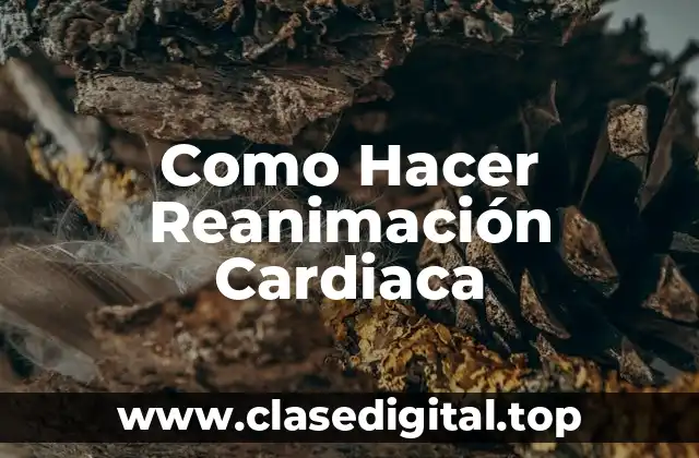 ¿Qué es la Reanimación Cardiaca?