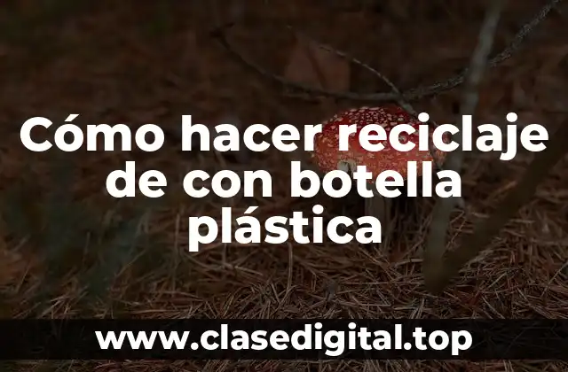 Cómo hacer reciclaje de con botella plástica