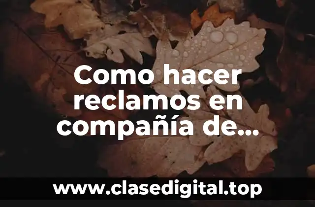 Como hacer reclamos en compañía de reaseguros