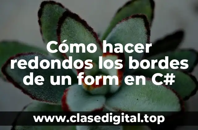 Cómo hacer redondos los bordes de un form en C#