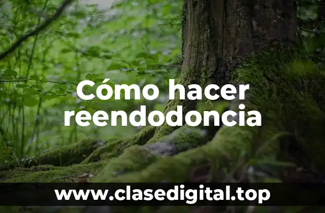 ¿Qué es una reendodoncia y para qué sirve?