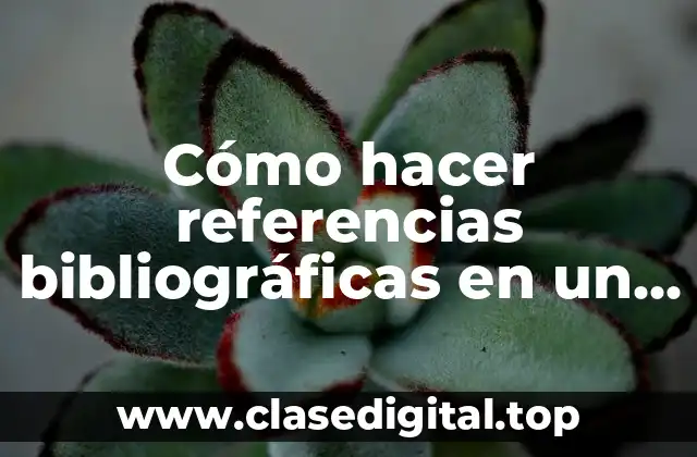Cómo hacer referencias bibliográficas en un trabajo de investigación