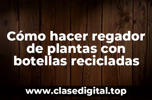 Cómo hacer regador de plantas con botellas recicladas
