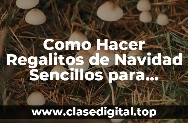 Como Hacer Regalitos de Navidad Sencillos para Adornar