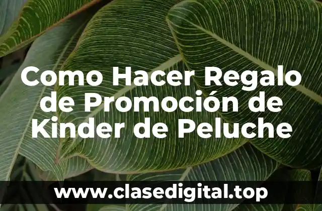 Como Hacer Regalo de Promoción de Kinder de Peluche