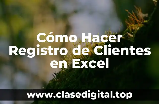 ¿Qué es un Registro de Clientes en Excel?