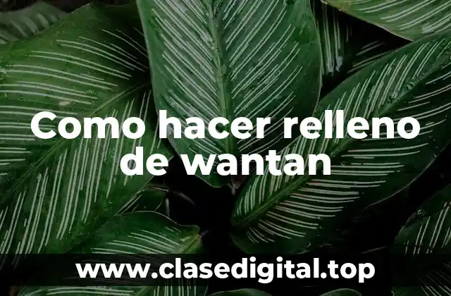 ¿Qué es el relleno de wantan?