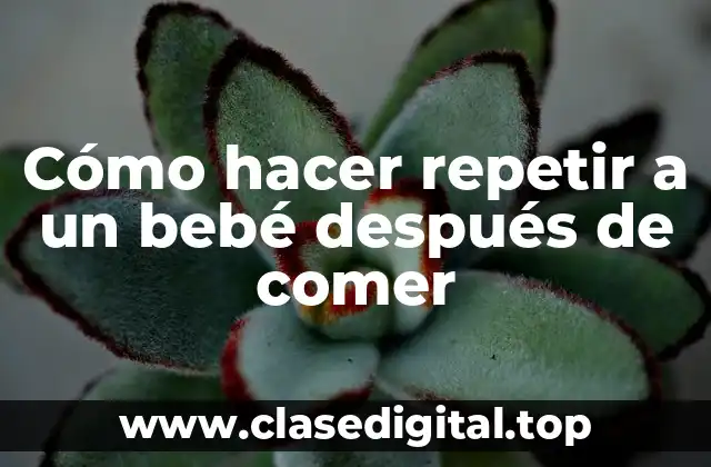 Cómo hacer repetir a un bebé después de comer