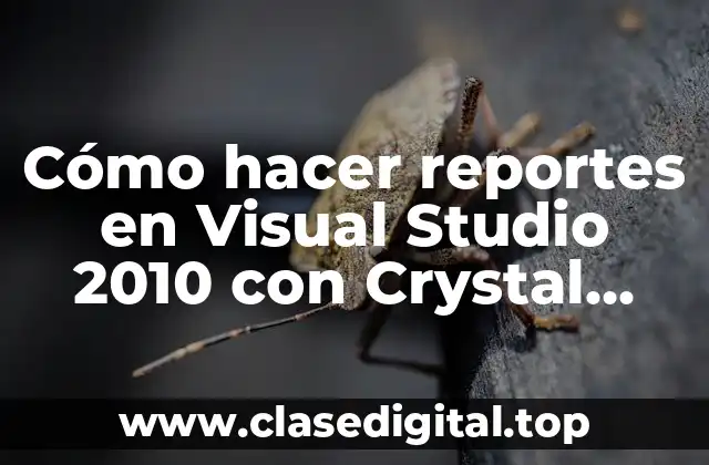 Cómo hacer reportes en Visual Studio 2010 con Crystal Reports