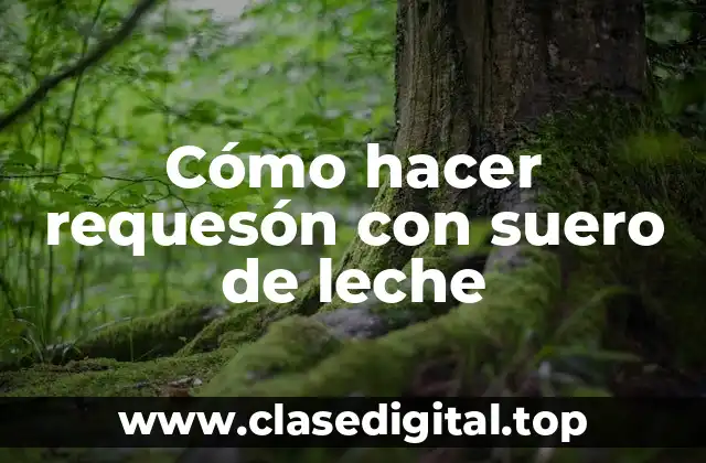 Cómo hacer requesón con suero de leche