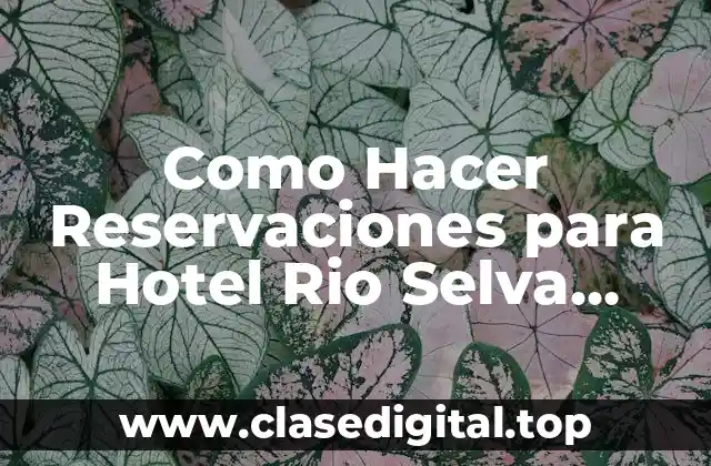 Como Hacer Reservaciones para Hotel Rio Selva Santa Cruz