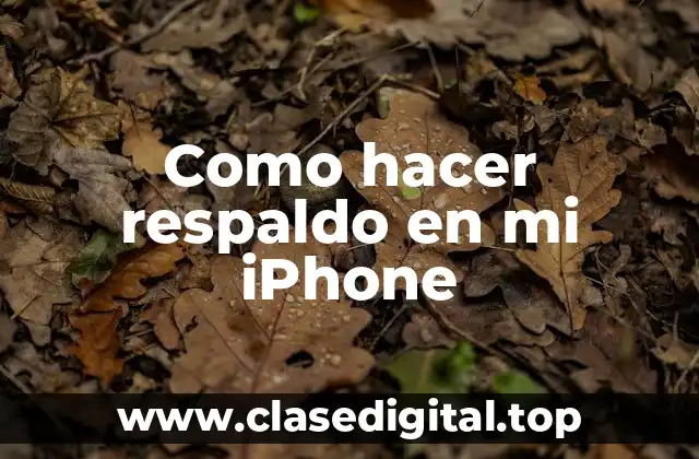 Como hacer respaldo en mi iPhone