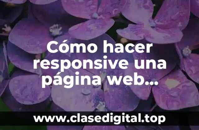 Cómo hacer responsive una página web WordPress