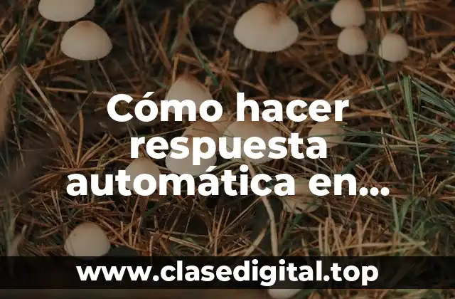 Cómo hacer respuesta automática en Messenger