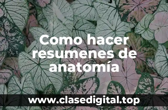 Como hacer resumenes de anatomía