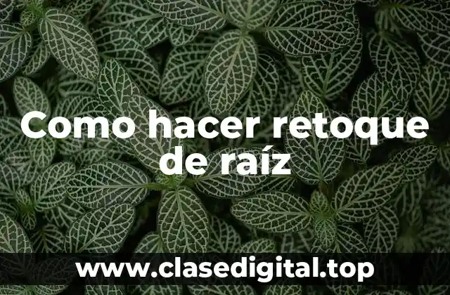 ¿Qué es el retoque de raíz?