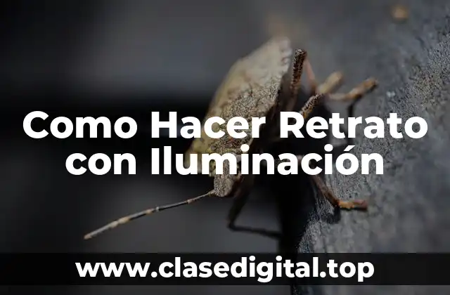 Como Hacer Retrato con Iluminación