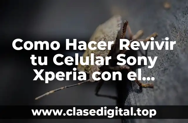 El Cargador de tu Teléfono Sony Xperia
