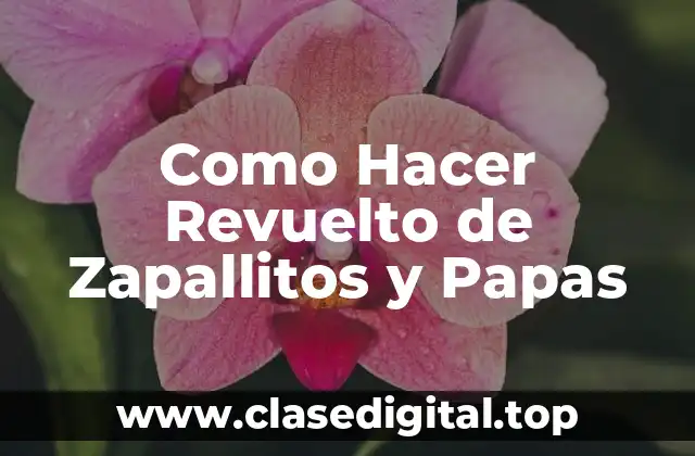 ¿Qué es un Revuelto de Zapallitos y Papas y para Qué Sirve?