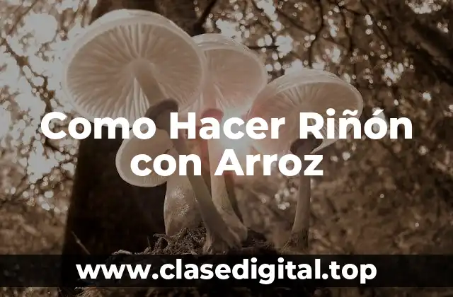 Como Hacer Riñón con Arroz