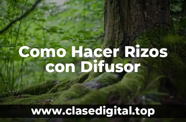 Como Hacer Rizos con Difusor