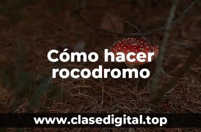 Cómo hacer rocodromo