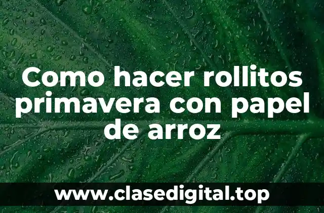 Como hacer rollitos primavera con papel de arroz