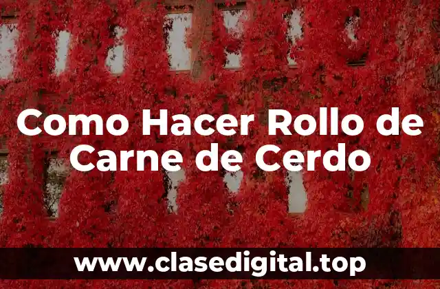Como Hacer Rollo de Carne de Cerdo