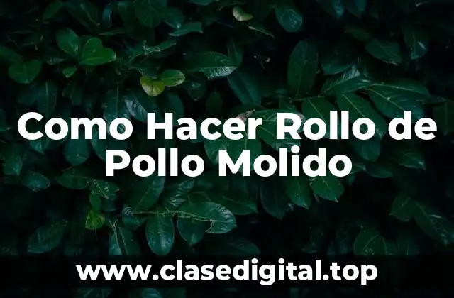 Como Hacer Rollo de Pollo Molido