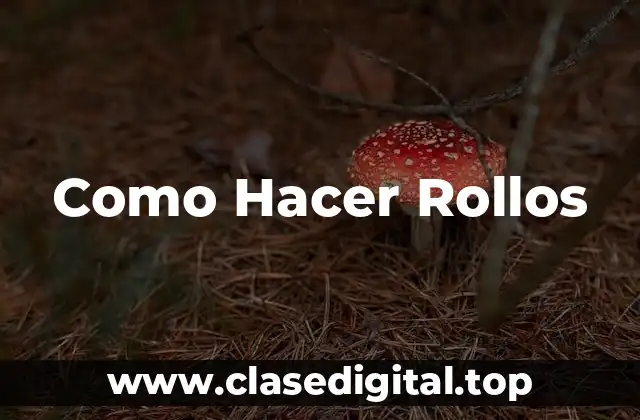 ¿Qué son los Rollos y para Qué Sirven?