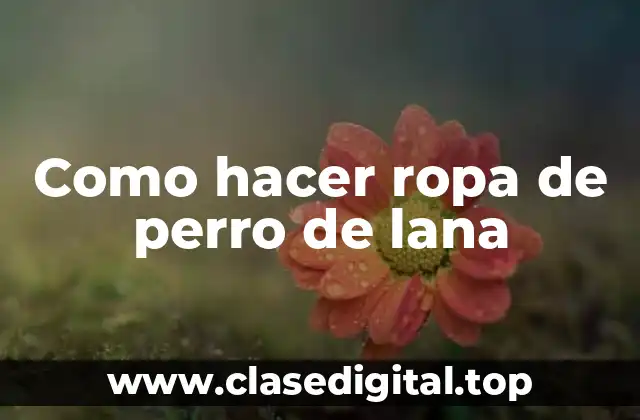 ¿Qué es la ropa de perro de lana?