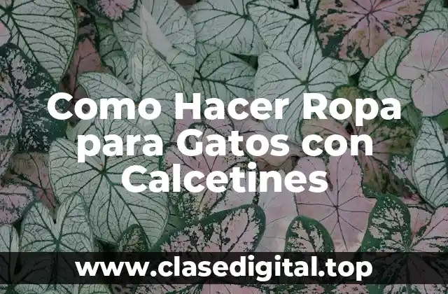 Qué es la Ropa para Gatos con Calcetines