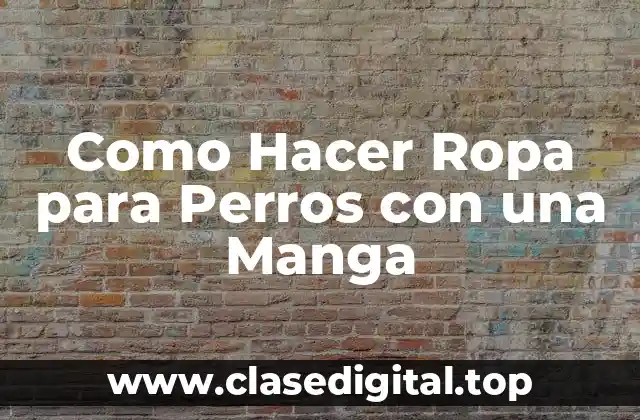 Qué es la Ropa para Perros con Manga y Para Qué Sirve