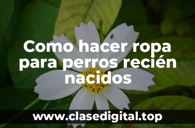 Como hacer ropa para perros recién nacidos