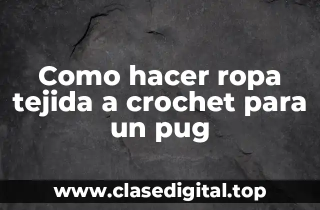 ¿Qué es el crochet y para qué sirve en la creación de ropa para pugs?