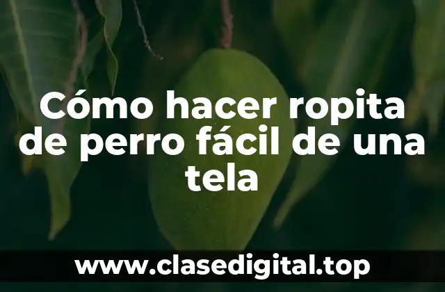 Cómo hacer ropita de perro fácil de una tela